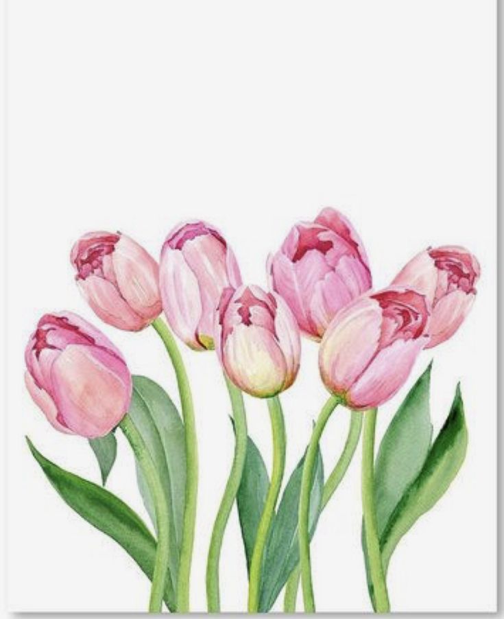 Vẽ Tranh Tulip Độc Đáo Nhất