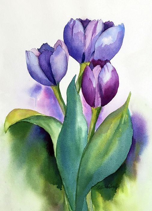 Vẽ Tranh Tulip Độc Đáo