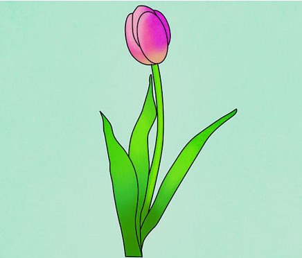 Vẽ Về Bông Tulip 1 Nét Mới Lạ