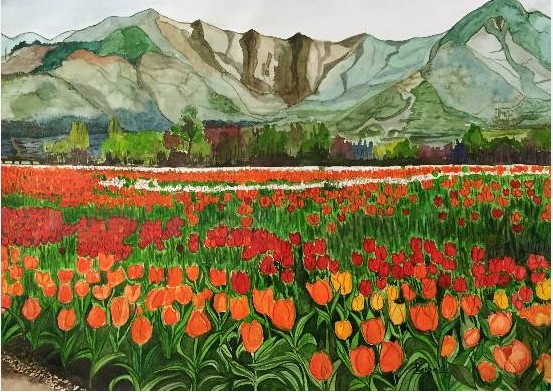 Vẽ Vườn Hoa Tulip Bằng Màu Nước
