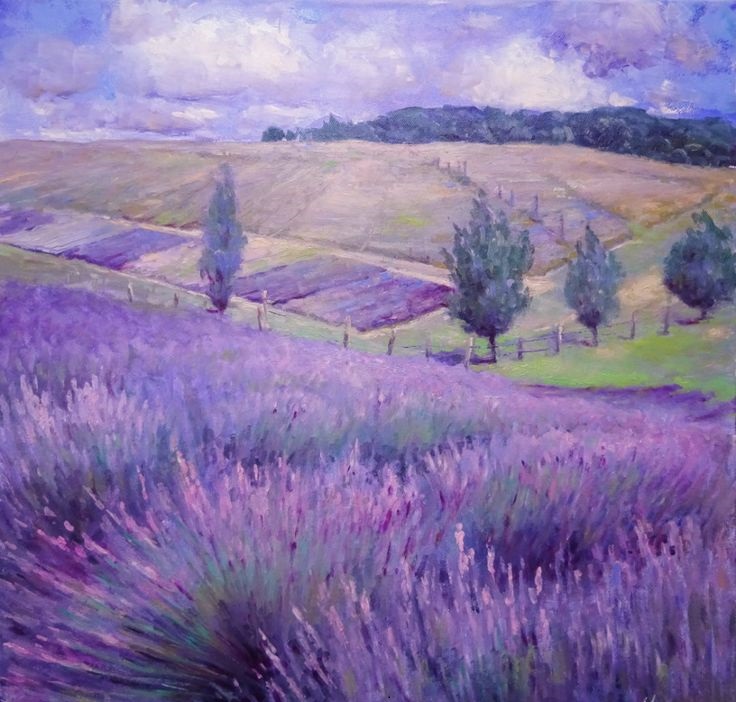 Vẽ Vườn Hoa Lavender Thu Hút