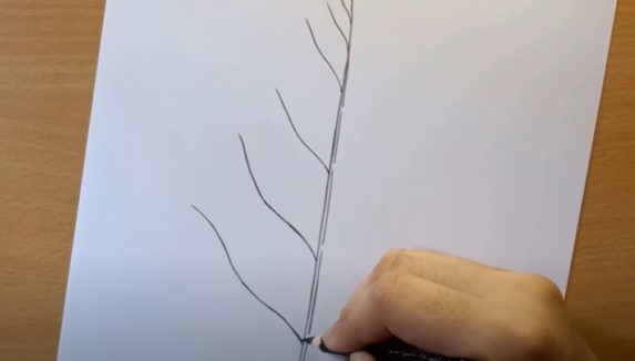 Vẽ cành cây