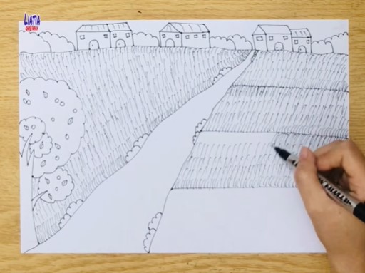 Vẽ cánh đồng lúa