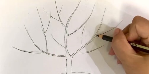 Bước 1 vẽ cành thân cây hoa đào đơn giản