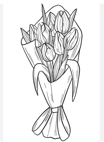 Hình Vẽ Bó Tulip Bằng Bút Chì Sáng Tạo