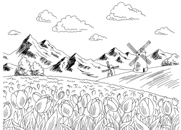 Hình Vẽ Cánh Đồng Tulip Bằng Bút Chì