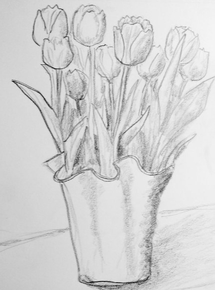 Hình Vẽ Chậu Tulip Bằng Bút Chì Mới Lạ
