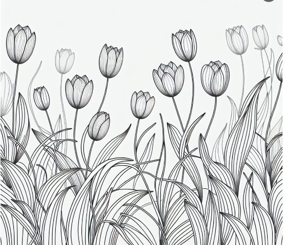 Share Hình Vẽ Vườn Tulip Bằng Bút Chì Ấn Tượng