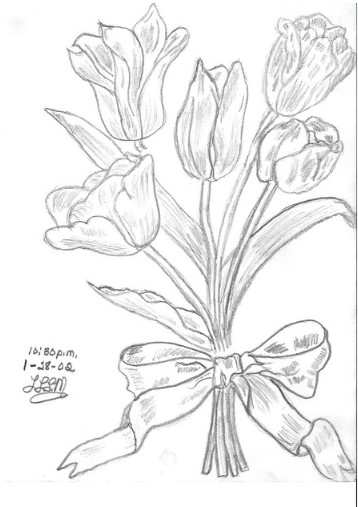 Vẽ Bó Tulip Bằng Bút Chì Sáng Tạo Nhất