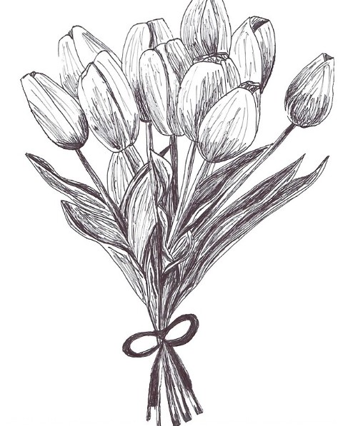 Vẽ Bó Tulip Bằng Bút Chì Sáng Tạo