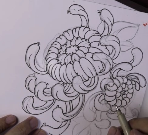 Vẽ Bông Cúc Nhật Cổ