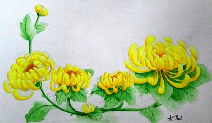 Vẽ Bông Cúc Vàng Đẹp Nhất