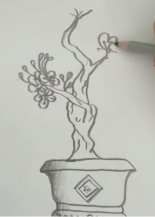 Vẽ bông hoa cho cây